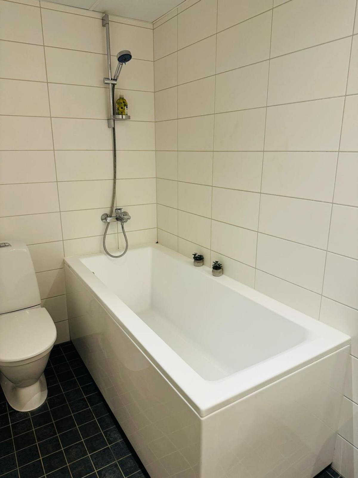Raatuse 85 Deluxe Apartments 塔尔图 外观 照片