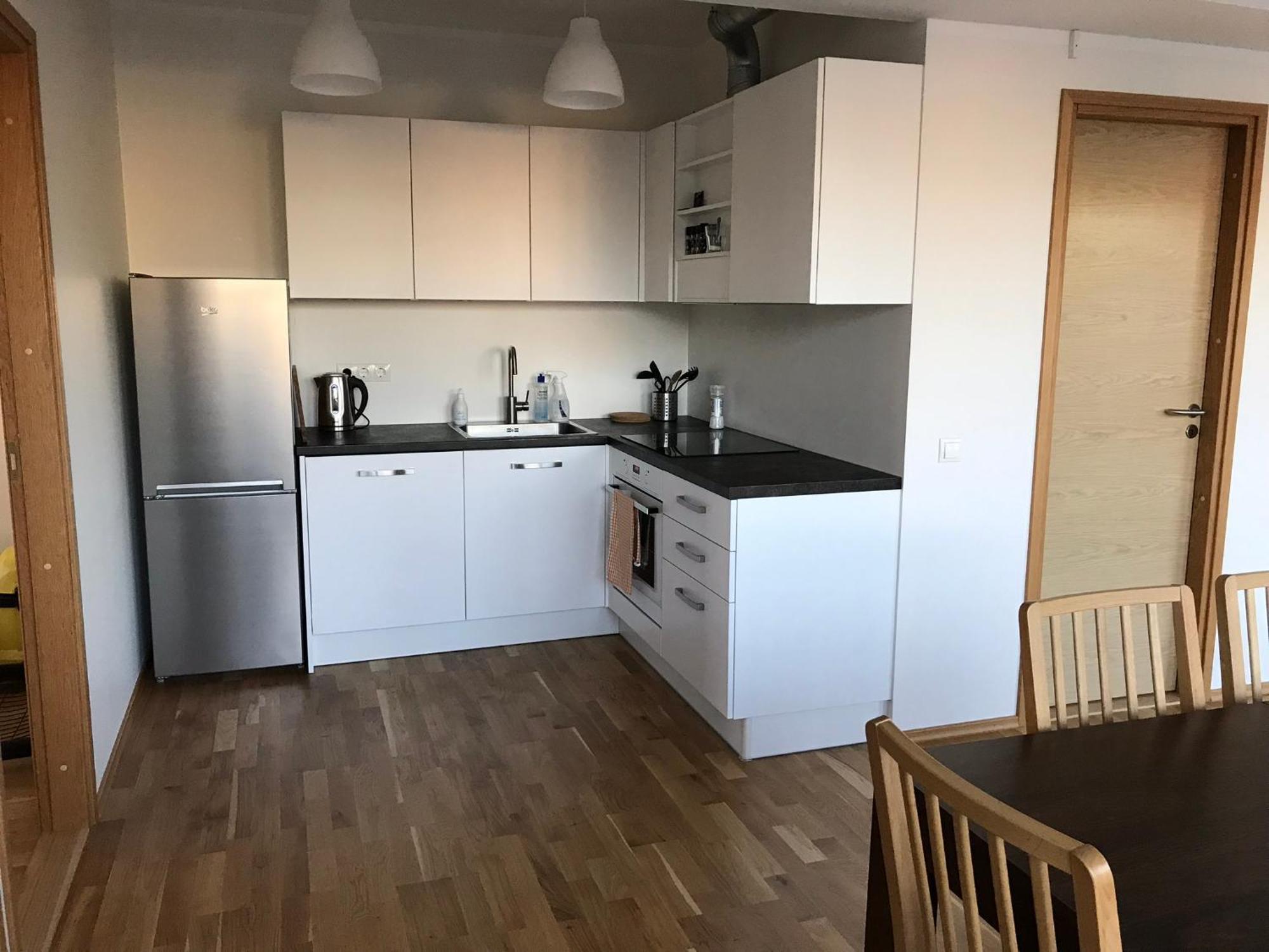 Raatuse 85 Deluxe Apartments 塔尔图 外观 照片